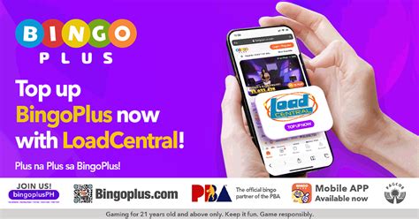 bingo plus net